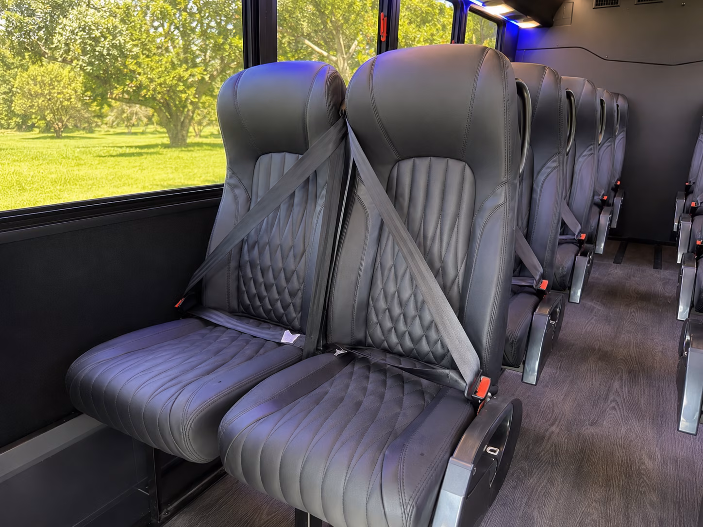 minibus wine tours from longmont to lyons and estes park